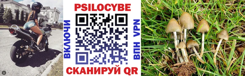 Галлюциногенные грибы Psilocybine cubensis  Верхняя Тура 